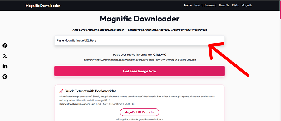 Copy and download Magnific image